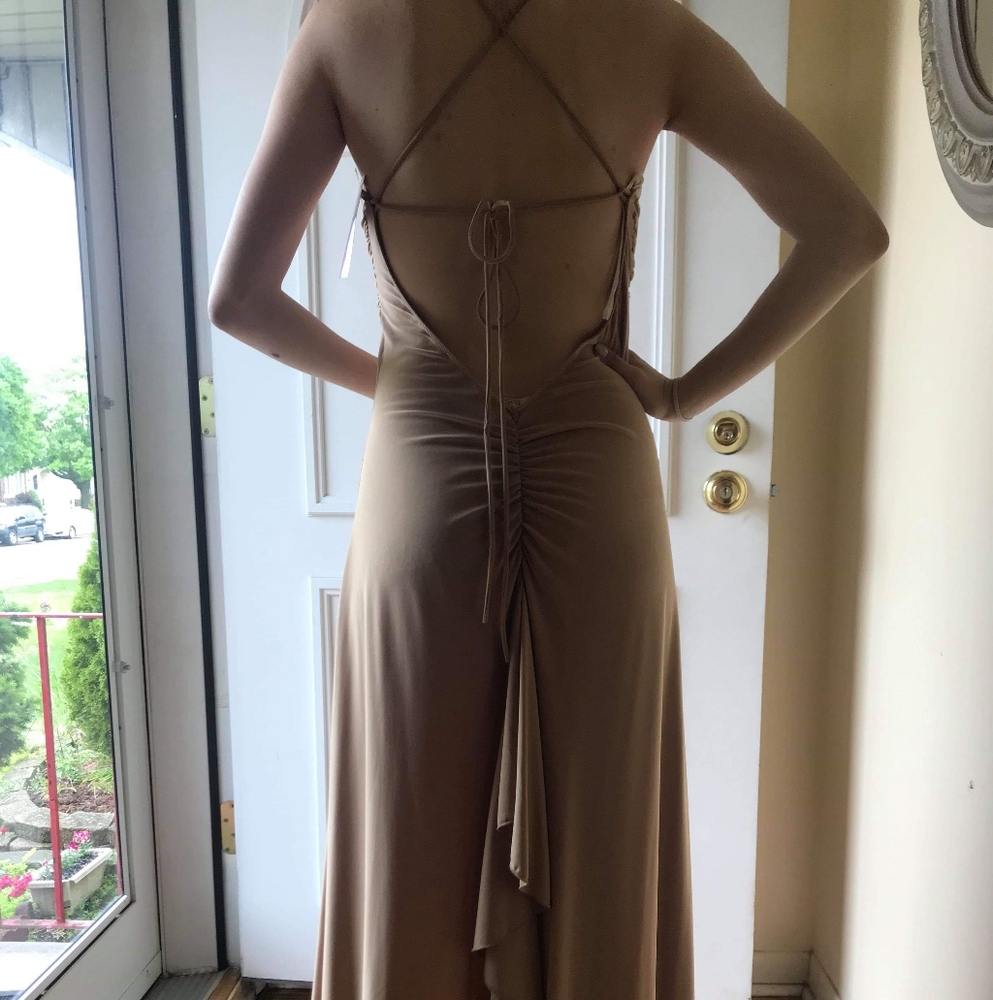 Long Formal Tan Dress - Picture 3 of 8